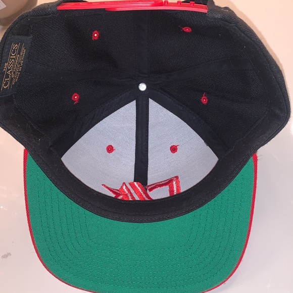 SnapBack - Picture 3 of 3